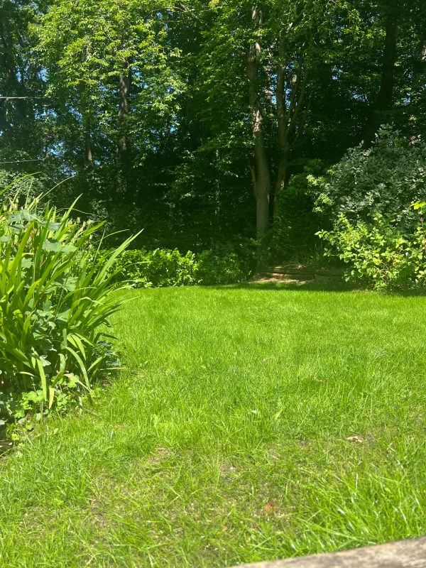 After image
